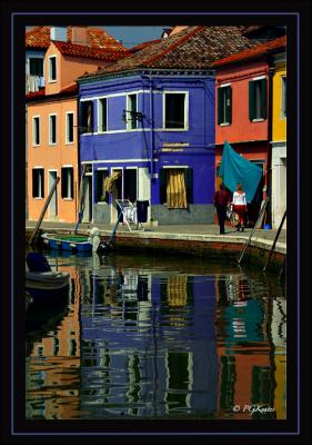 IMG_4454.jpg