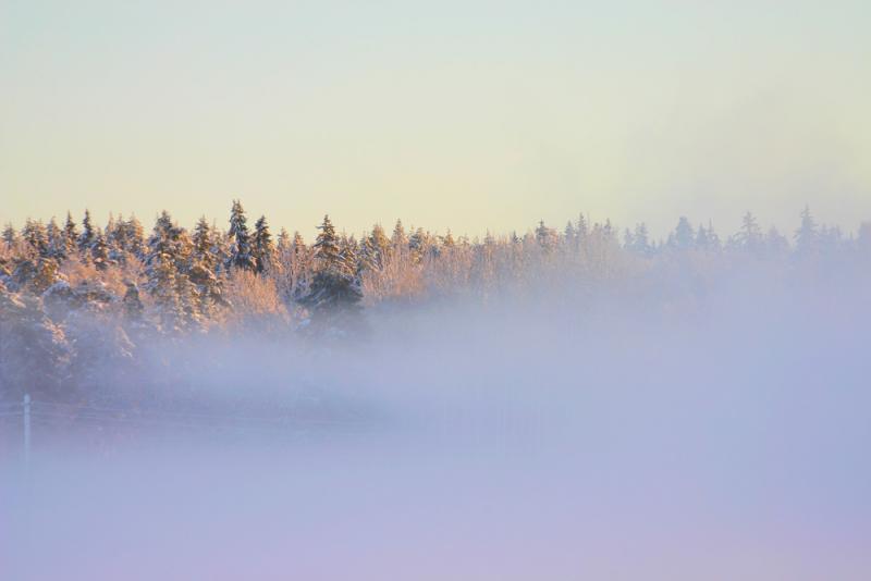 Fog