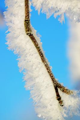 Wonder of snow