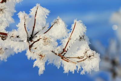 Wonder of snow
