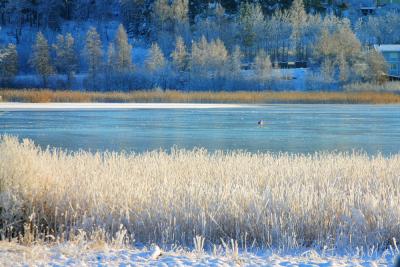 Winter lake