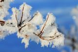 Wonder of snow