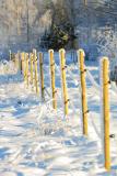 Fences