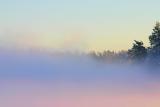 Foggy sunset