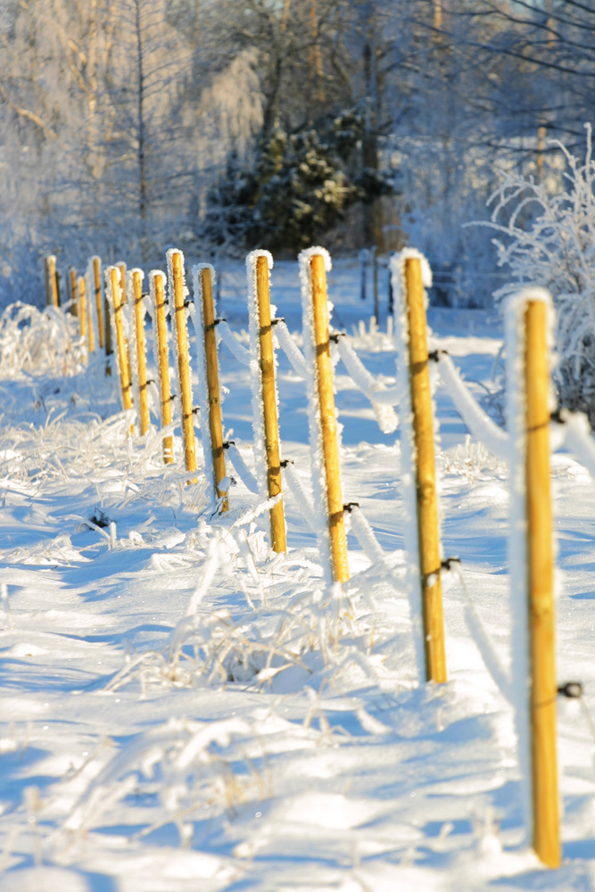 Fences