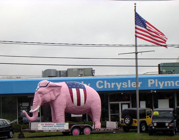 The Pink Elephant