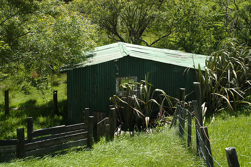 17 Nov 04 - The Green Shed