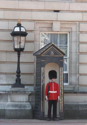 Guard At Buckingham