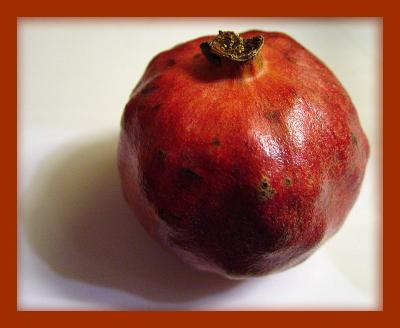 Pomagranate