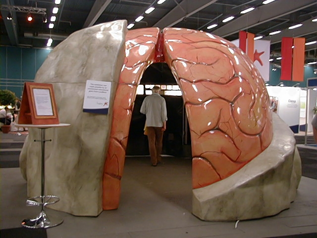 Image27.jpg