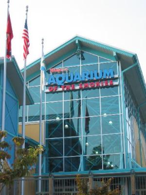Ripleys Aquarium of the Smokies in Gatlinburg, Tennessee  18 Aug 2003.