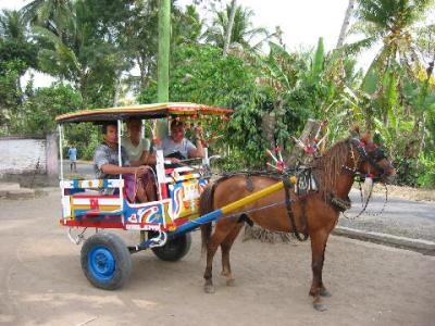 me in the middle getting a ride to the market