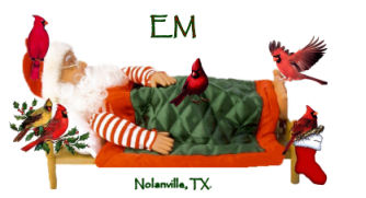 Santa for Em.jpg