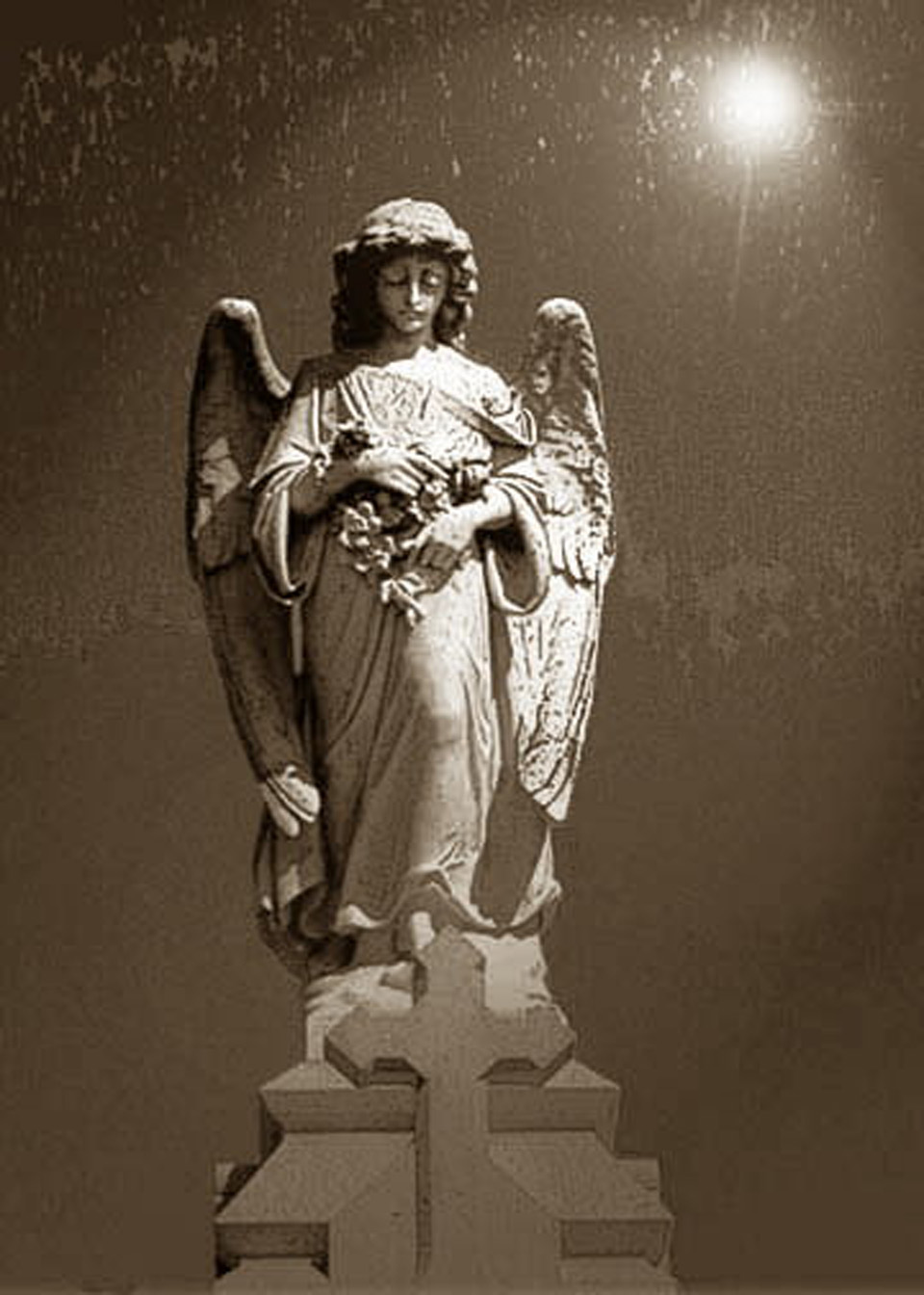Midnight Angel