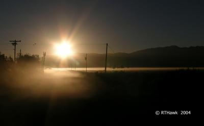 Morning Mist 3.jpg