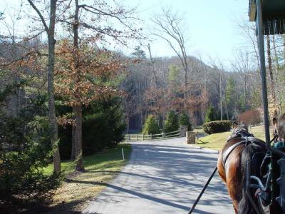 Lazy Carriage Ride (590)