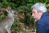 Fred with grey kangaroo at Pebbly Beach