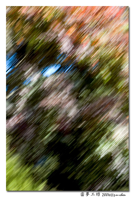 DSC_1105.jpg