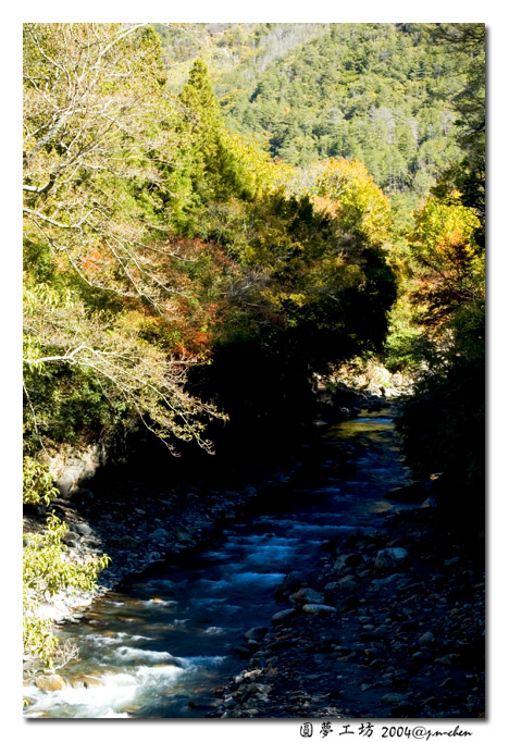 DSC_1119.jpg