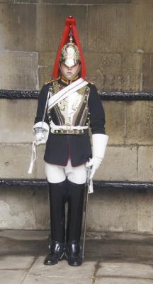 Horse Guard foot sentry