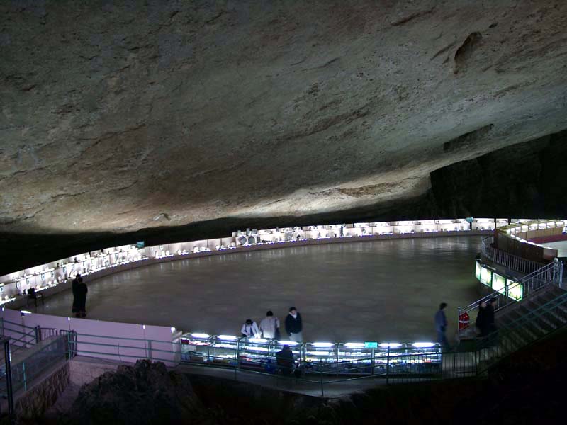 The Lions Hall<br />九鄉雄獅廳