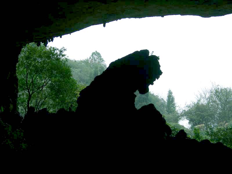 The Lions Hall<br />九鄉獅師廳