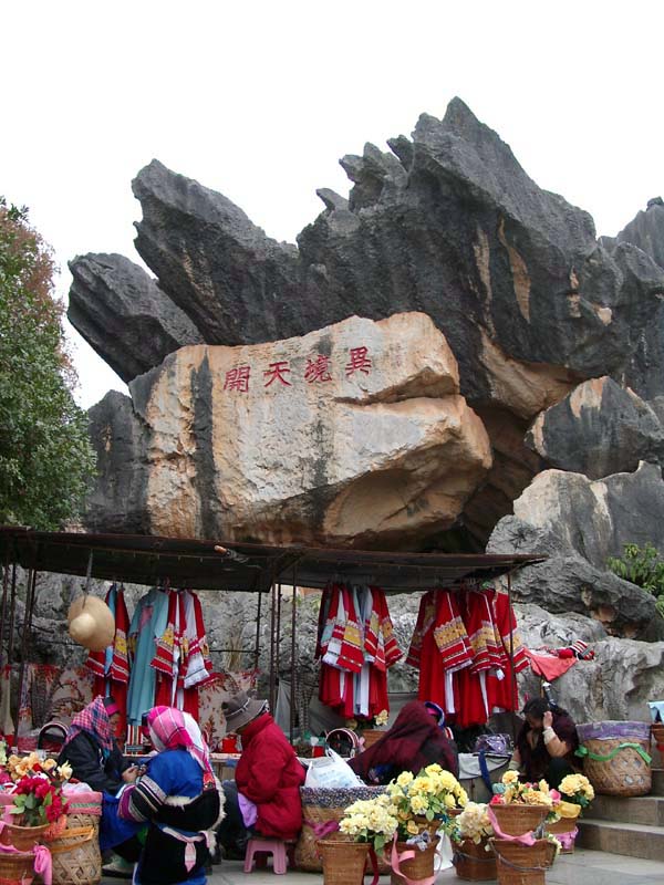 A Scene of Shilin<br />石林