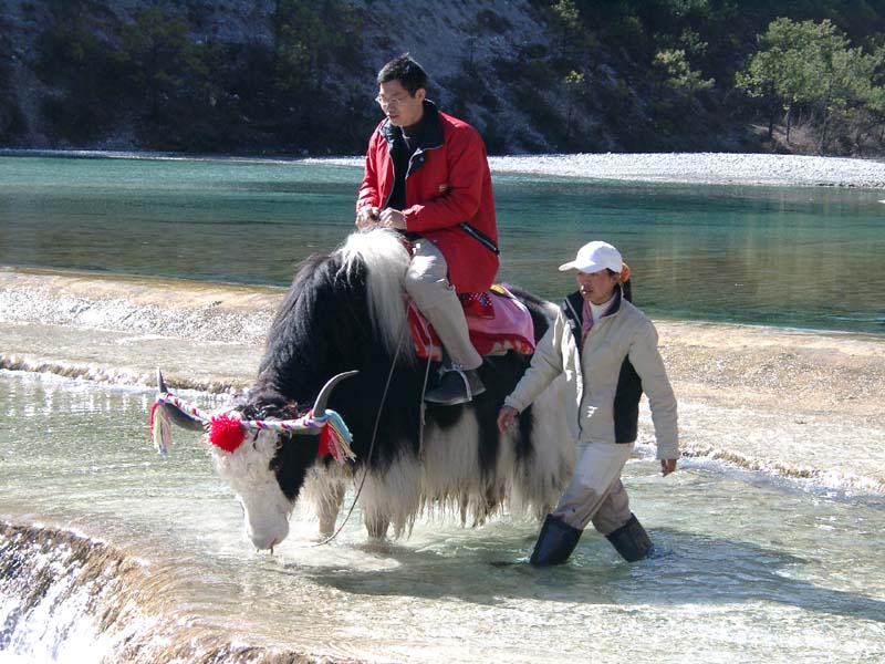 Maoniu Riding For Photographing<br />白水河