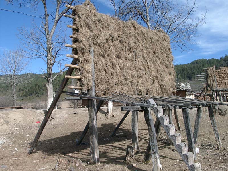 Food Drying Platform 2<br />青棵架