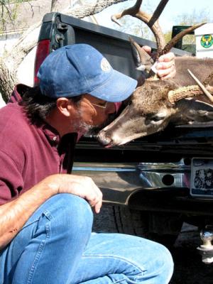 Kiss me, Deer; 2002 Season Buck.