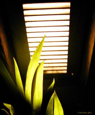 nightlight .jpg