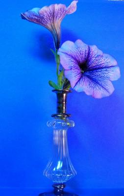 Mini Vase (Nov 21th)