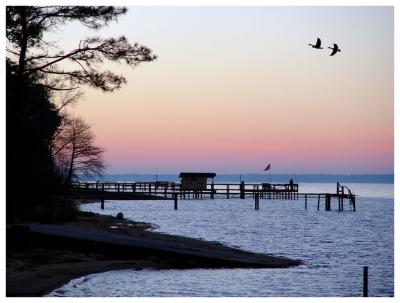 Lake Effectby Joe Reilly
