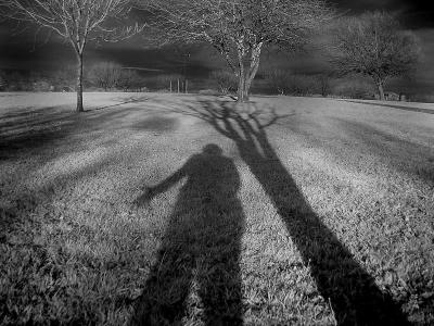 5thBe The Treeby MxCat