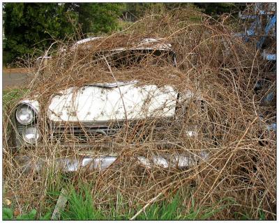 Long Term Parking