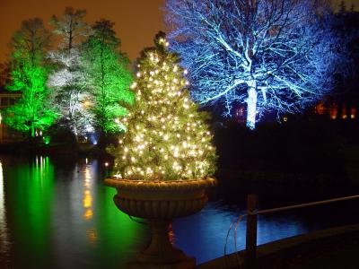 Christmas at Kew Gardens. London. UK. by John Lumb