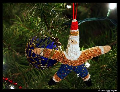 Starfish Santa by Peggy