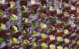 <b>Patchwork Bricks*</b><br>by GregZ