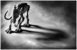 <B>Woolly Mammoth</B><BR><font size=1>by David Cappello</font>