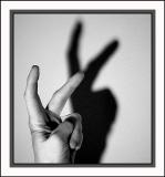 Shadowy Transformation<br>(B&W Version)<br>by Deb