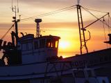 <p align=center> <b> Boat Silhouette </b> <br> <font size=1> by Pedro Teixeira </font> </p>