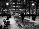 <b><i>3rd - </i>Unphased by the Hype</b><br>by Shutter