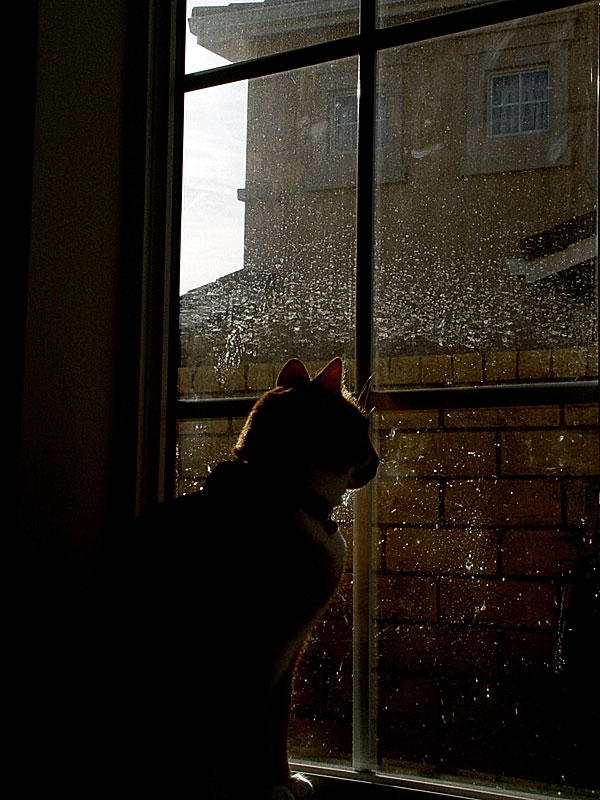 <b>Spying on the Neighbors</b> <br><font size=2><em>by Howard Cheng</em></font>