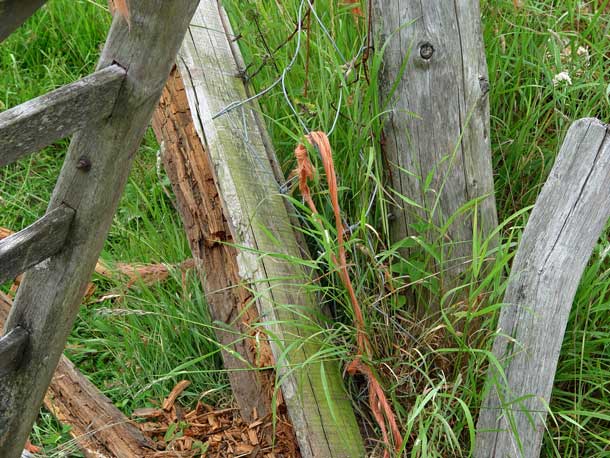 old farm gate by Mike Brett