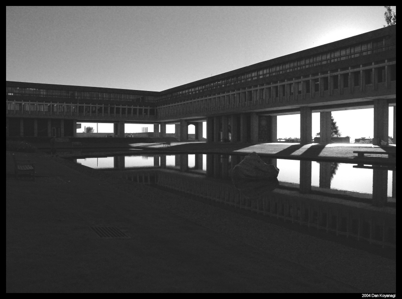 The AQ (2)*<br>by Dan Koyanagi