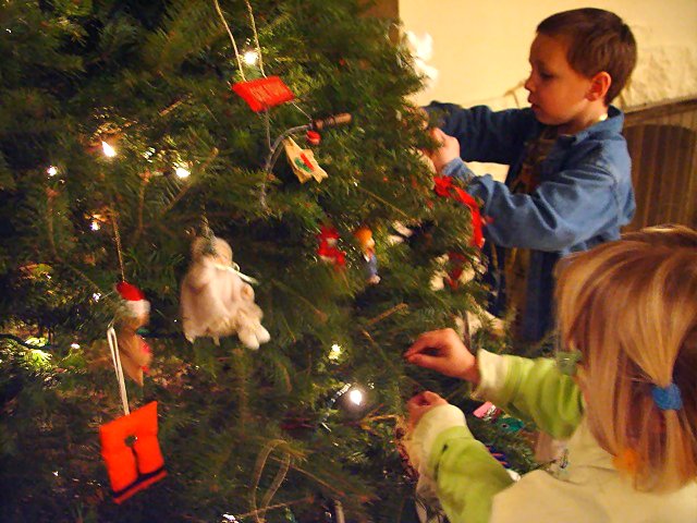 <b>Trimming the Tree</b><br><font size=1>by Shutter</font>