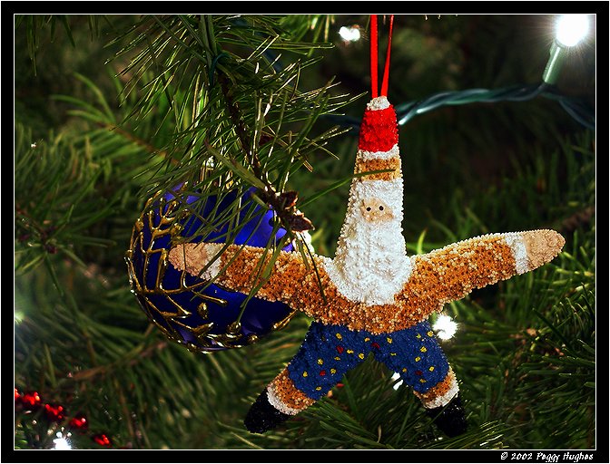 Starfish Santa by Peggy