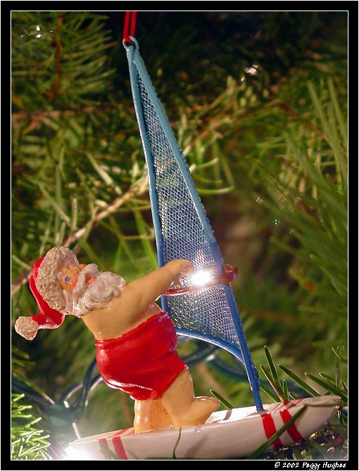Surfin Santa by Peggy