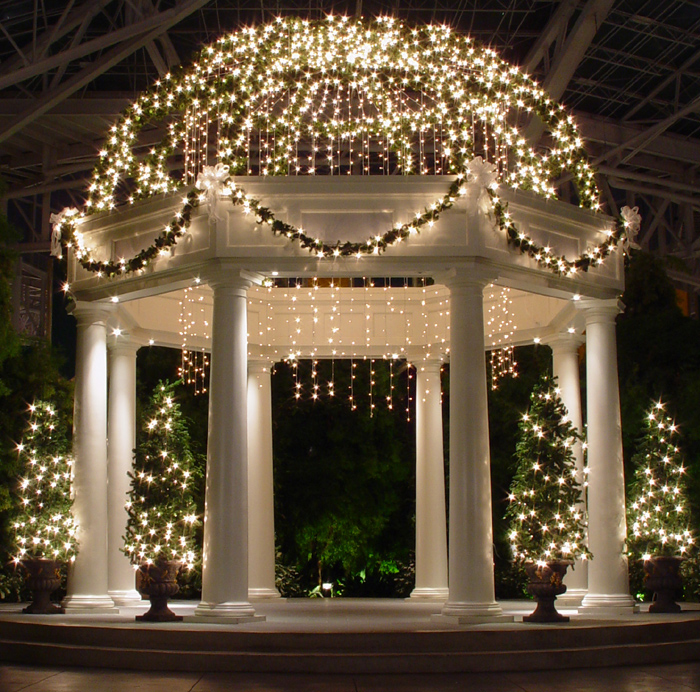 <B>Draped in Lights</B><BR><FONT size=2>by Mike Ezell</FONT>