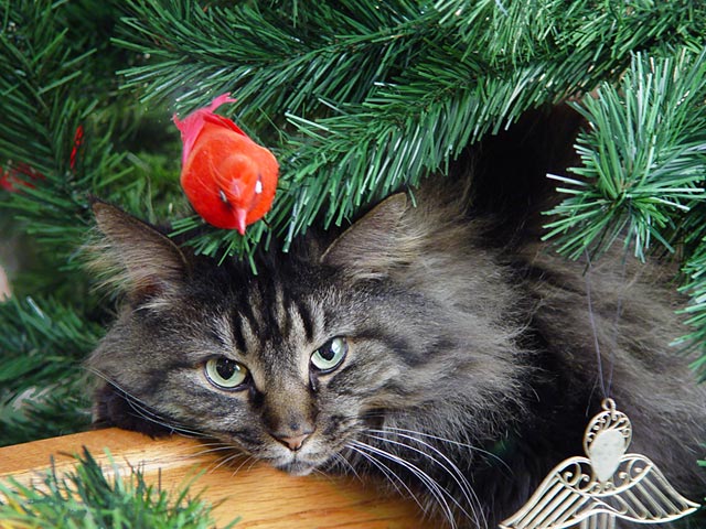 Tree Decorator by Erichocinc
